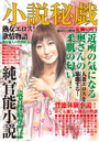小説秘戯 VOL.2