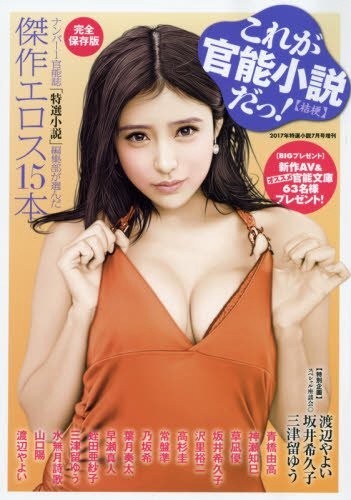 これが官能小説だ！桔梗の表紙