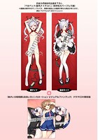 すめらぎ琥珀『あけいろ怪奇譚&なないろリンカネーション ビジュアルファンブック ドラマCD付限定版』+『ベルベット(猫耳メイドver.)』抱き枕カバーのサムネイル画像