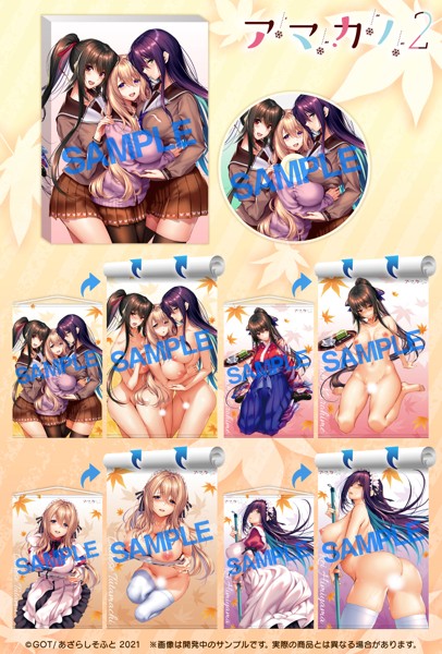 【受注生産】『アマカノ2 ビジュアルファンブック ドラマCD付限定版』＋『Wタペストリー4枚フルセット』