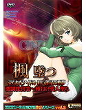 楓 墜つ 売られたアイドル 紅い部屋の悪夢