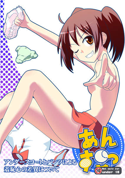 あんすこっ~アンダースコートとパンツによる羞恥心の差異について~のジャケット