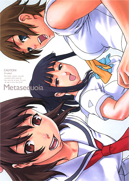 Metasequoiaのジャケット
