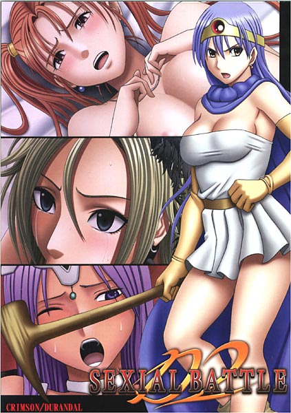 SEXIAL BATTLE D2 CD-ROM版のジャケット