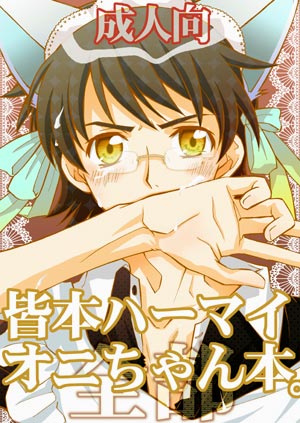 皆本ハーマイオニちゃん本。全部のジャケット
