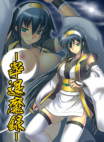 皐退魔録のジャケット