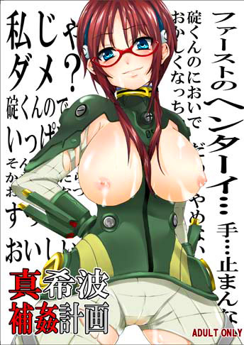 真希波補姦計画のジャケット