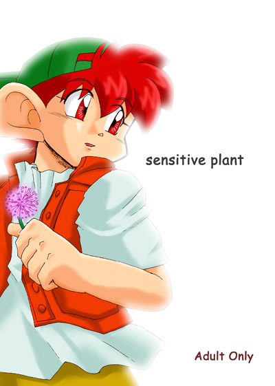 sensitive plantのジャケット