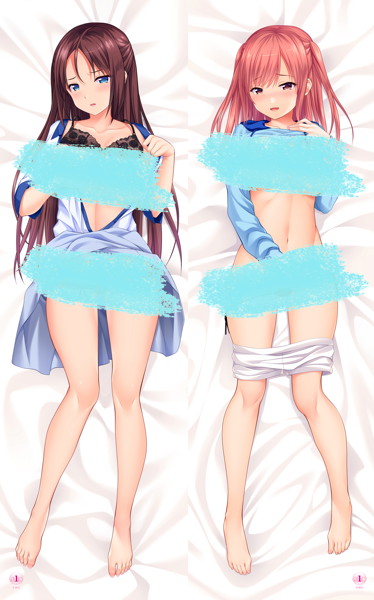 彼女がヤツに抱かれたヒ 新妻姉妹のイケない昼下がり抱き枕カバー【セパレート仕様】 画像1