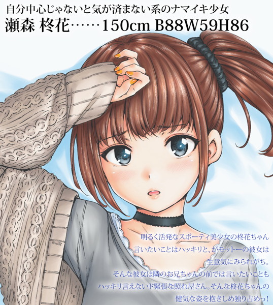 宵嫁葛籠 ナマイキ盛りの乙女ゴロメイト 抱き枕カバー【セパレート仕様】 画像1