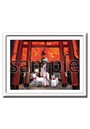 BONNOU FESTIVAL 108 ウロ 複製原画 NO.12