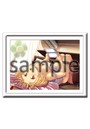 BONNOU FESTIVAL 108 夢乃狸 複製原画 NO.31