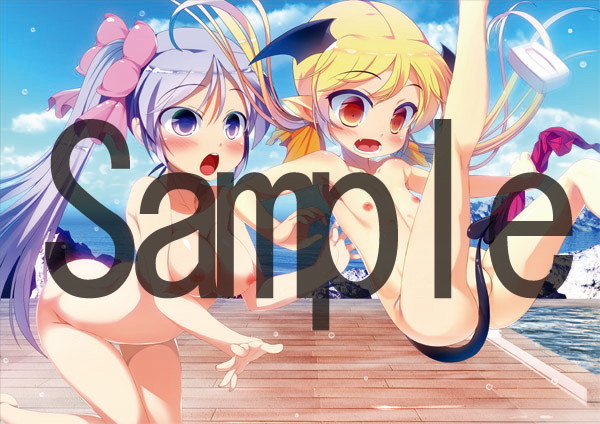 Lord of Walkure 抱き枕パック 画像2