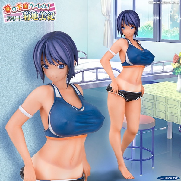 夢の学園ハーレム！アスリート 菊地美紀