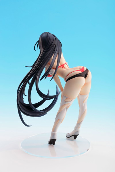斑鳩-サーキットの女王- 画像3