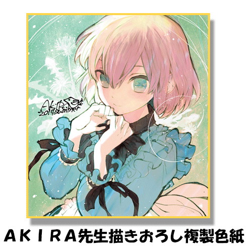 ライアー全部入りセット 画像14