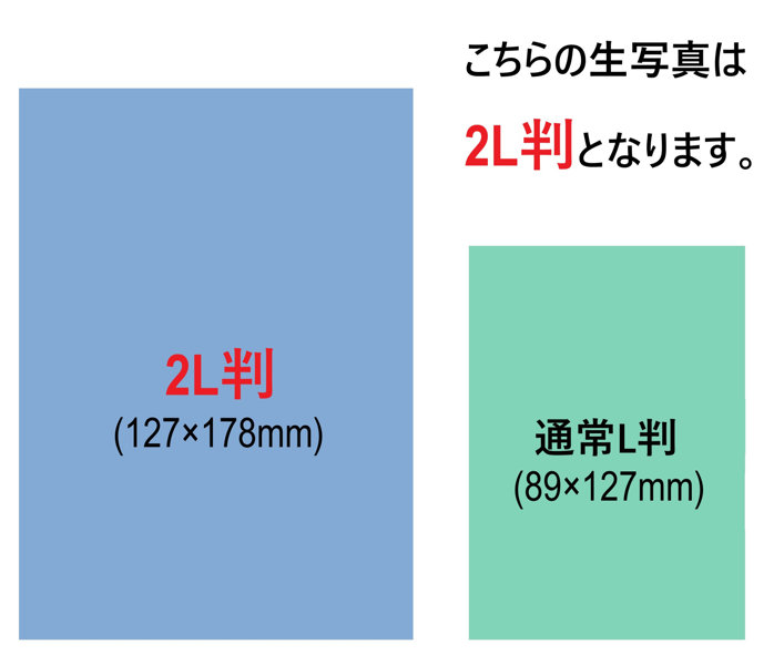 【大人のおもちゃキャンペーン】生写真6枚セット〜おうち編〜2L判サイズ 画像1