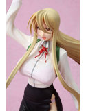 学園黙示録 HIGHSCHOOL OF THE DEAD 鞠川静香 WスケスケVer. 画像1