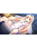 「姫と婬欲のテスタメント」シルフィア姫 抱き枕カバー 画像2