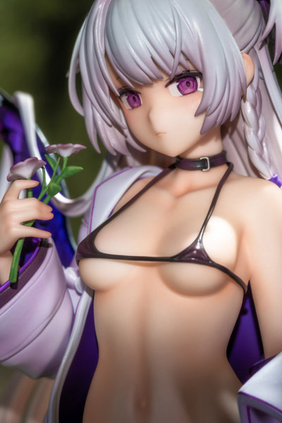 ペチュニア 豪華版 画像26