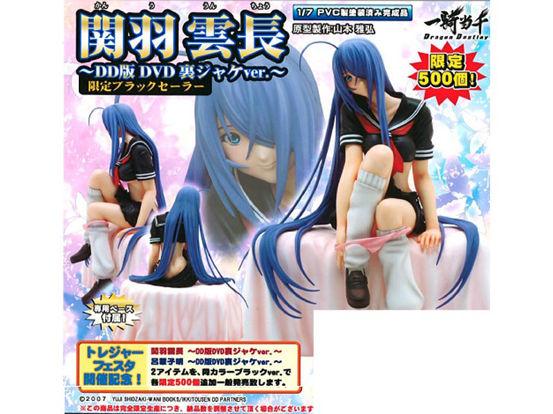一騎当千DD 関羽雲長 DD版 DVD裏ジャケverブラックセ―ラー