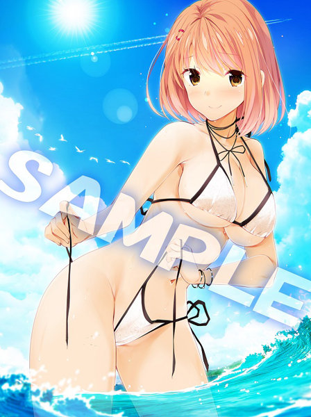 再販『虜ノ姉妹』水着コレクション 塔夜水咲 B2タペストリー