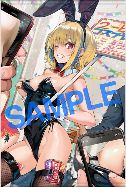 GOT タペストリーコレクション604 40010試作型