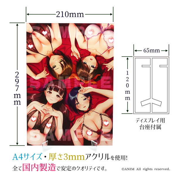 ANIM Selection Vol.1 WHY?! 若妻が寝取られた?! A4アクリルパネル 画像1