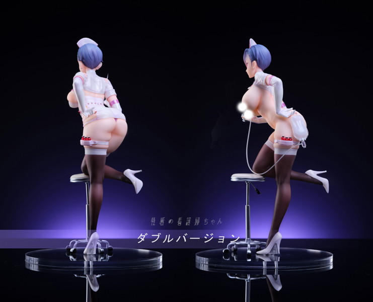 性感の看護婦ちゃん ダブルVer. 完成品フィギュア 画像4