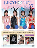 AVC ジューシーハニーコレクションカード PLUS ＃2...