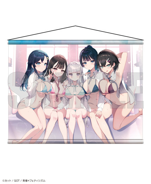 【二次受注】青春×フェティシズム タペストリーコレクション11 カット