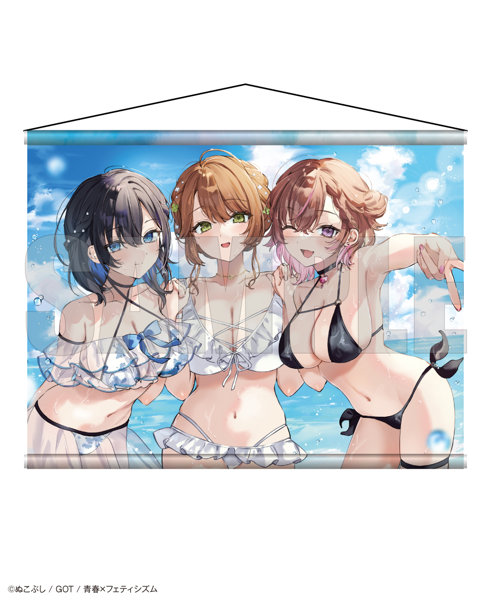【二次受注】青春×フェティシズム タペストリーコレクション41 ぬこぷし