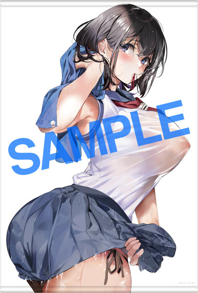 GOT タペストリーコレクション270 丸新