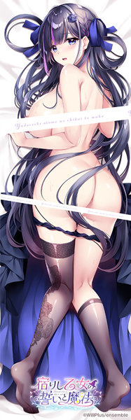 【受注限定生産】柊林檎先生描き下ろし 宿りし乙女の誓いと魔法 舞玲抱き枕カバー 画像2