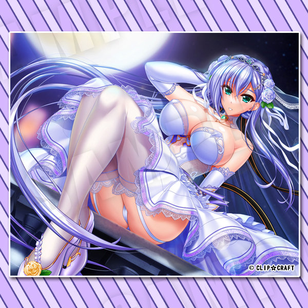 【受注限定生産】ユニオリB2横タペストリー セルフィウェディングver.