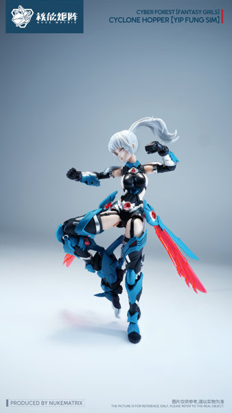 NUKE MATRIX サイバーフォーレスト FANTASY GIRLS FF0120 サイクロンホッパー 叶風嬋（イップ・フォン・シム） プラスチックモデルキット 画像9
