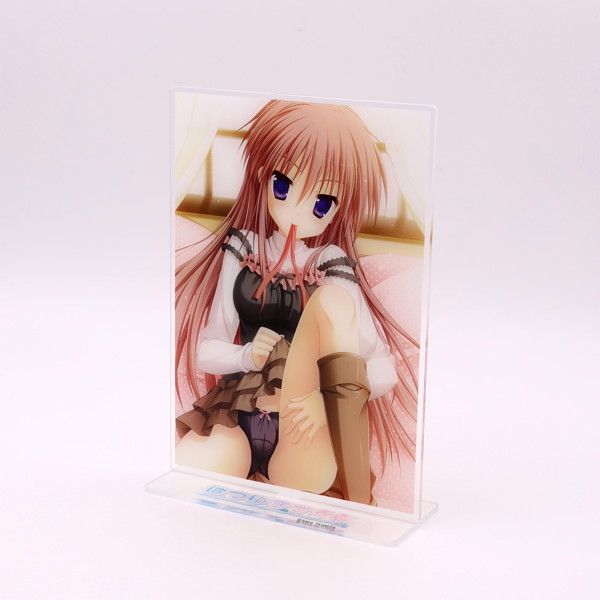 はつゆきさくら A5サイズアクリルスタンド 綾