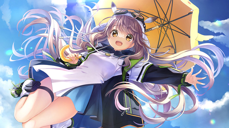 【FANZA限定】【全年齢対象】anemoi 初回限定版 オリジナルA4イラストクロス付き 画像1