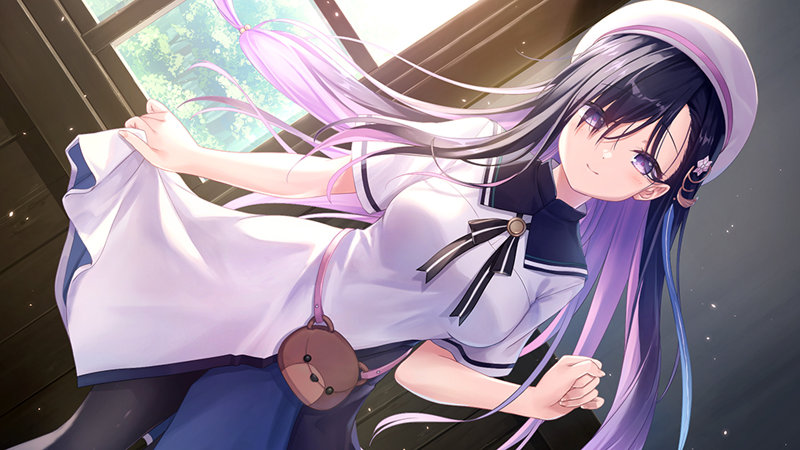 【FANZA限定】【全年齢対象】anemoi 初回限定版 オリジナルA4イラストクロス付き 画像4