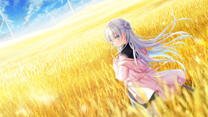 【FANZA限定】【全年齢対象】anemoi 初回限定版 オリジナルA4イラストクロス付き 画像5