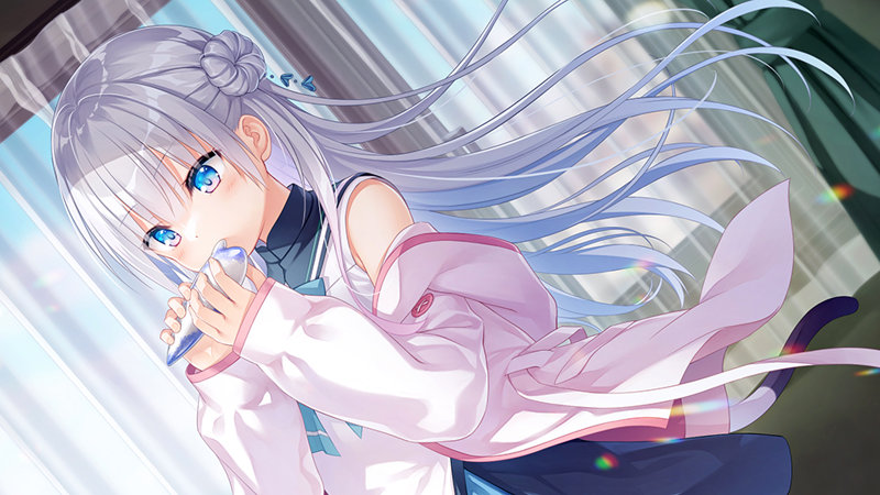 【FANZA限定】【全年齢対象】anemoi 初回限定版 オリジナルA4イラストクロス付き 画像6