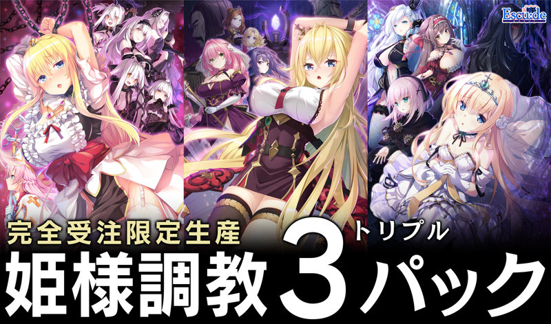 【FANZA限定】姫様調教3（トリプル）パック オリジナルA4イラストクロス付き