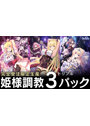 【FANZA限定】姫様調教3（トリプル）パック オリジナルA4イラストクロス付き