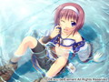 プリティプライスシリーズ ヴェルディア幻奏曲 廉価版 画像2