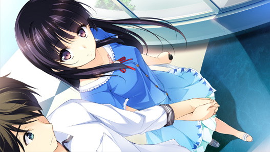 この大空に、翼をひろげて Flight Diary 本編同梱パック 画像2