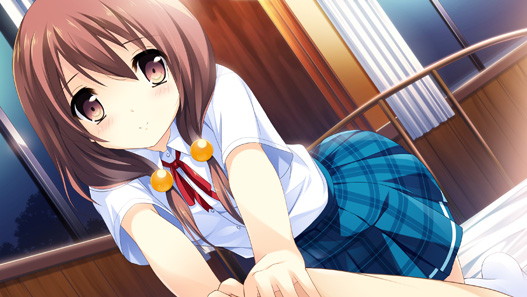 この大空に、翼をひろげて Flight Diary 本編同梱パック 画像3