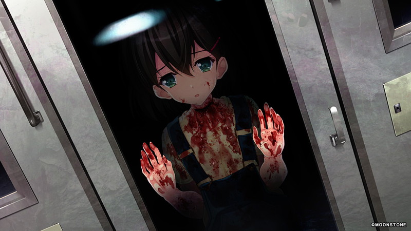 【FANZA限定】サクラノモリ†ドリーマーズ2 オリジナルA4タペストリー付 画像4