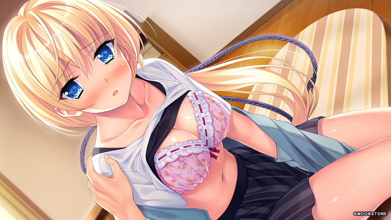 【FANZA限定】サクラノモリ†ドリーマーズ2 オリジナルA4タペストリー付 画像13