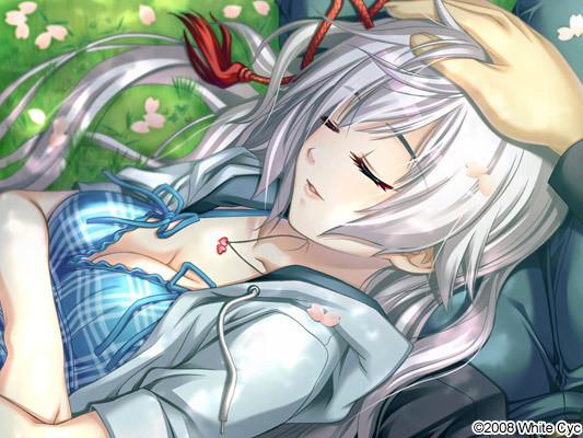 恋する式〜SHIKIGAMI 2008〜 Windows8.1動作版 画像5