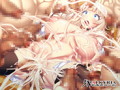 【数量限定】プレイ！プレイ！プレイ！屍 限定版 FANZAオリジナルイラストカード付 画像9